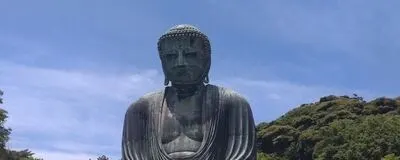 パレットの活動紹介