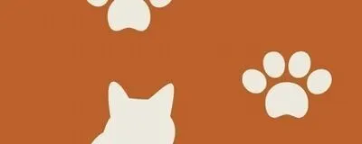 猫様のお茶会の活動紹介