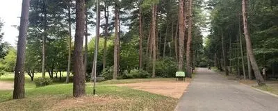 MATUランニングの活動紹介