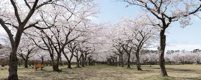 Photo Circle efの活動紹介