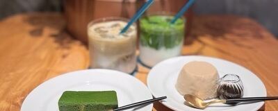 Tealuxe（ティーラックス）の活動紹介