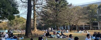 代々木公園ドッグラン / 🐶🐾わんオクロックの活動紹介