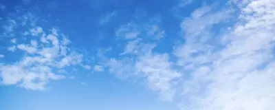 まったり休日お外遊びの活動紹介