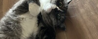 ギターアンサンブルミューズの活動紹介