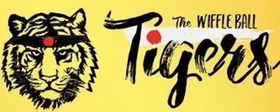 ウィッフルボール🐯タイガースの活動紹介
