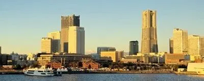 あるいてこ│季節の散歩と対話を楽しむ会の活動紹介