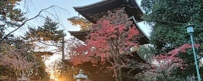 LINEグループ「ゆるふわ歴史会」の活動紹介