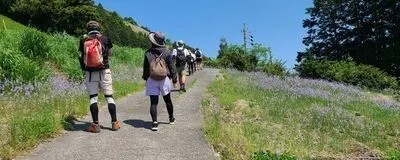 さんぽ部のこのこの活動紹介