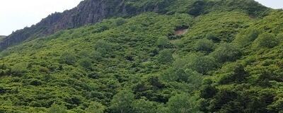 福島県新規登山サークル** の活動紹介
