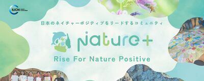 Nature＋の活動紹介