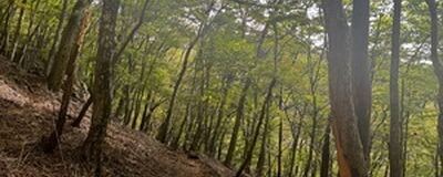 まったり山歩グループの活動紹介