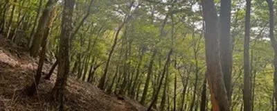 まったり山歩グループの活動紹介