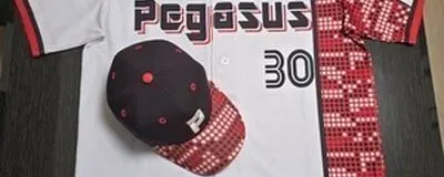 ペガサスの活動紹介
