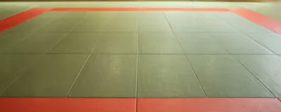 SSATFCの活動紹介