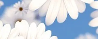 お散歩サークルの活動紹介