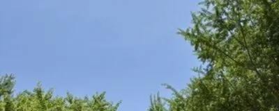 身体が硬い人のための朝ヨガ教室の活動紹介
