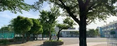 国立カンガルーの活動紹介
