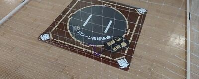 日本ドローン相撲協会【徳島県 吉野川支所】（山口県 部員募集中）の活動紹介