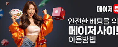 메이저사이트の活動紹介