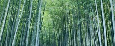 宇都宮　ソフトテニスの活動紹介