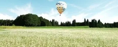 しゃらく2025の活動紹介