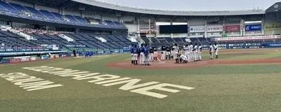 ソフトボール/野球経験のある女性助っ人を募集しています！⚾️の活動紹介