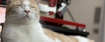 SBCの活動紹介