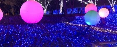 旅友サークルの活動紹介
