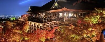 ゆるフォト散歩(散歩×写真)の活動紹介
