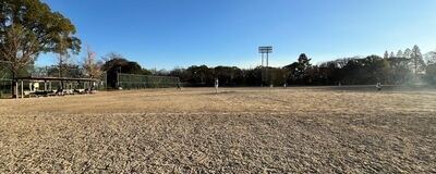STANDinsの活動紹介