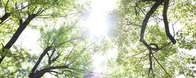カメラ会📷の活動紹介