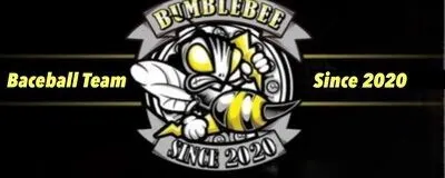 BUMBLEBEEの活動紹介
