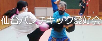 仙台パンチキック愛好会の活動紹介