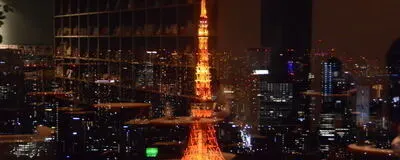 FLOWERTOKYOの活動紹介