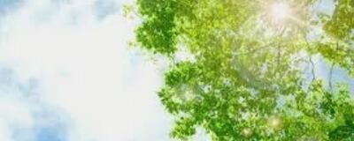 ★参加無料★オンラインで！ヨガサークルの活動紹介