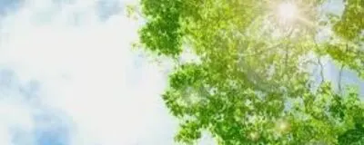 ★参加無料★オンラインで！ヨガサークルの活動紹介