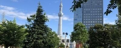 背番号1番空いてます🚭禁煙チーム🚭ユニフォームLAドジャースそっくり！限定１名！【ノンスモーカーのみの募集】東京KーREXの活動紹介