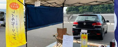 ヒーリング自由研究の活動紹介