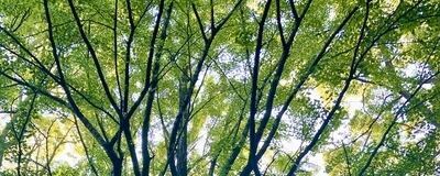 朝活/ヨガ部(女性限定)の活動紹介