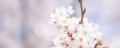 【少人数】写真サークルの活動紹介