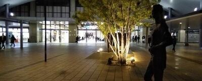 兵庫・大阪　本が好きな方ひっそりと関西圏で本の茶話会（≠読書会）の活動紹介
