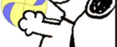 八王子初心者大歓迎バレーサークルの活動紹介