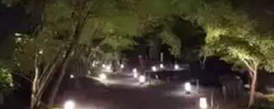四国中央〜高松〜徳島で本が好きな方ひっそりと本の茶話会（≠読書会）の活動紹介