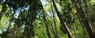 山形*登山サークルの活動紹介