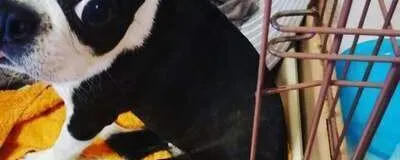 湘南タッチネッツの活動紹介