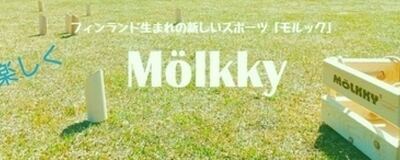 楽しくモルックの活動紹介