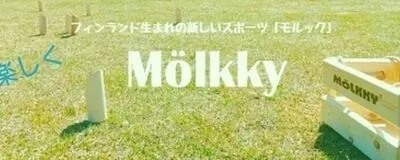 楽しくモルックの活動紹介