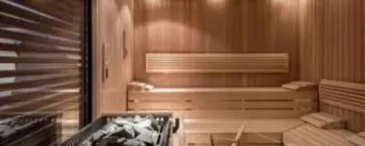 新潟サ活の活動紹介