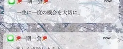 卓球チーム　一期一会の活動紹介