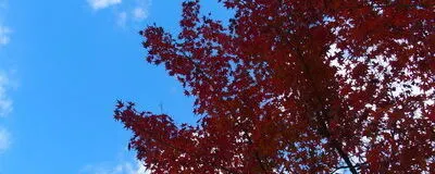 ふらっと岡山(仮)の活動紹介
